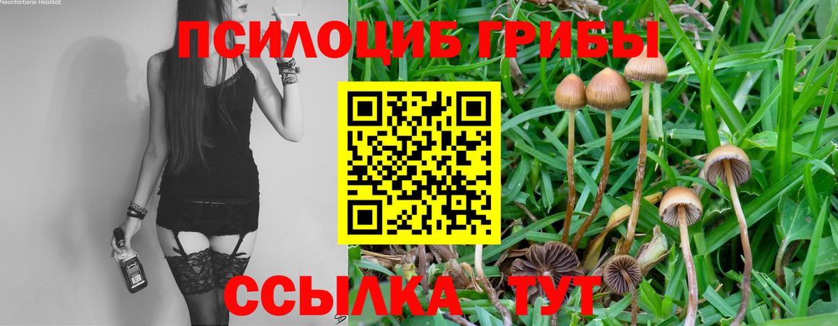 Псилоцибиновые грибы ЛСД Ялта